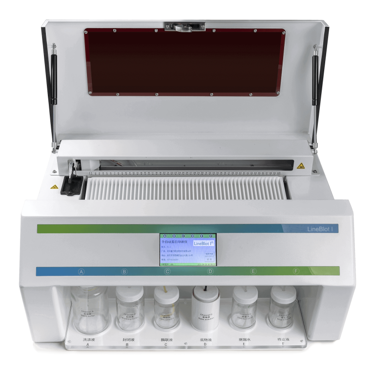 Line Blot I Fully Automatic Western Blotting Instrument Thalysbio 9064